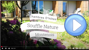 Vidéo, Maison, nature, durable, bois, environnement, chambre d'hotes
