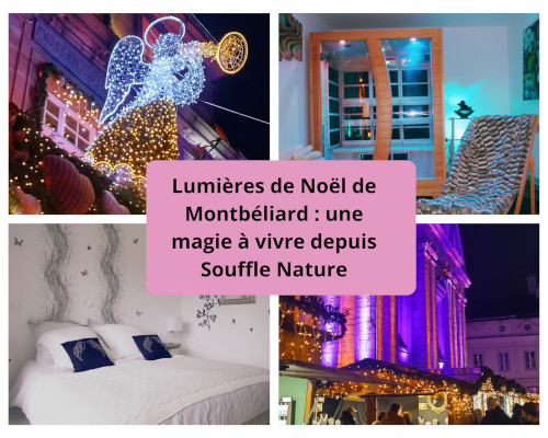 Toutourisme