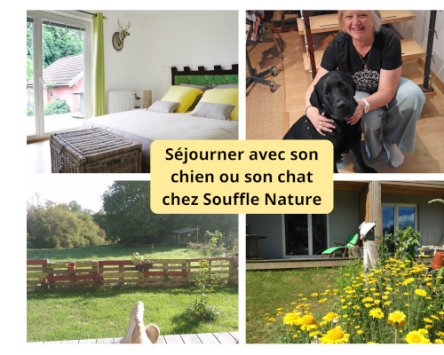 Toutourisme